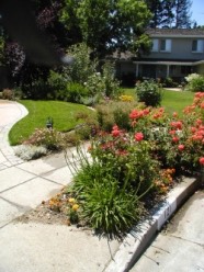 Front yard landscape