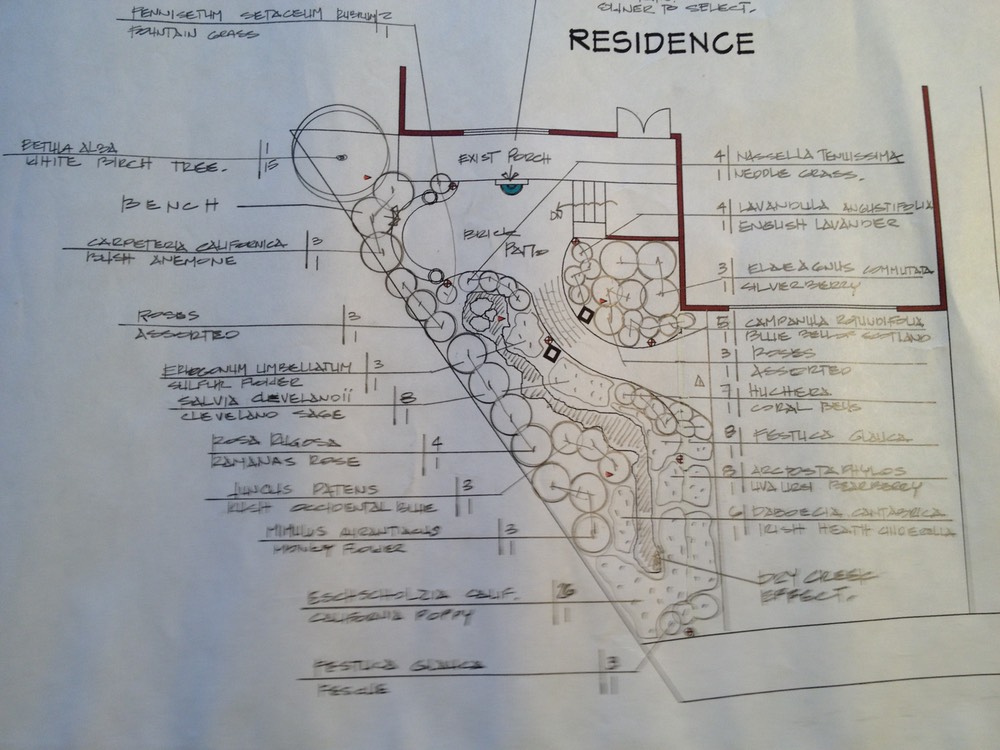 West San Jose landscape design